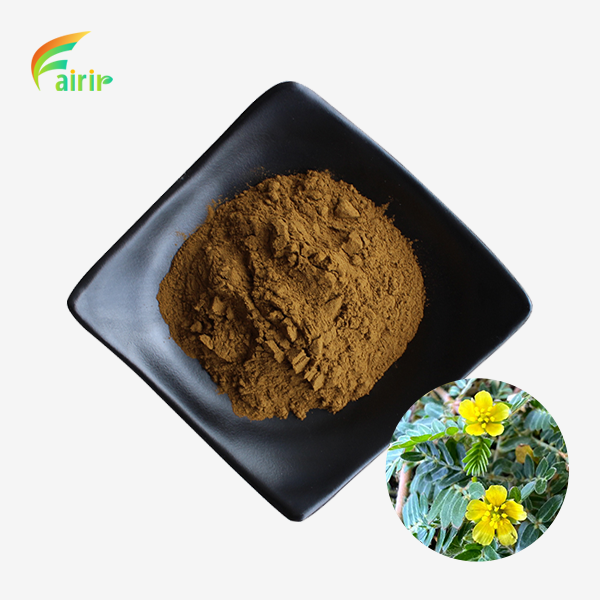 Tribulus Terrestris Extract Powder
